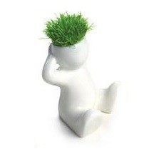 Pequeñas Cabezas de Césped (8 uds.)